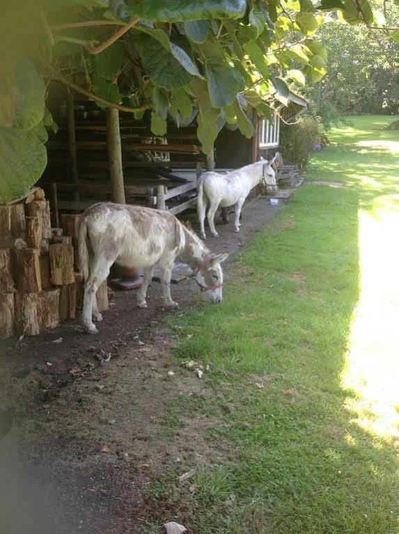 Doolans Country Retreat B&B Rotorua Zewnętrze zdjęcie